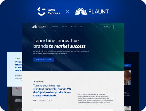 Flaunt Brands website preview