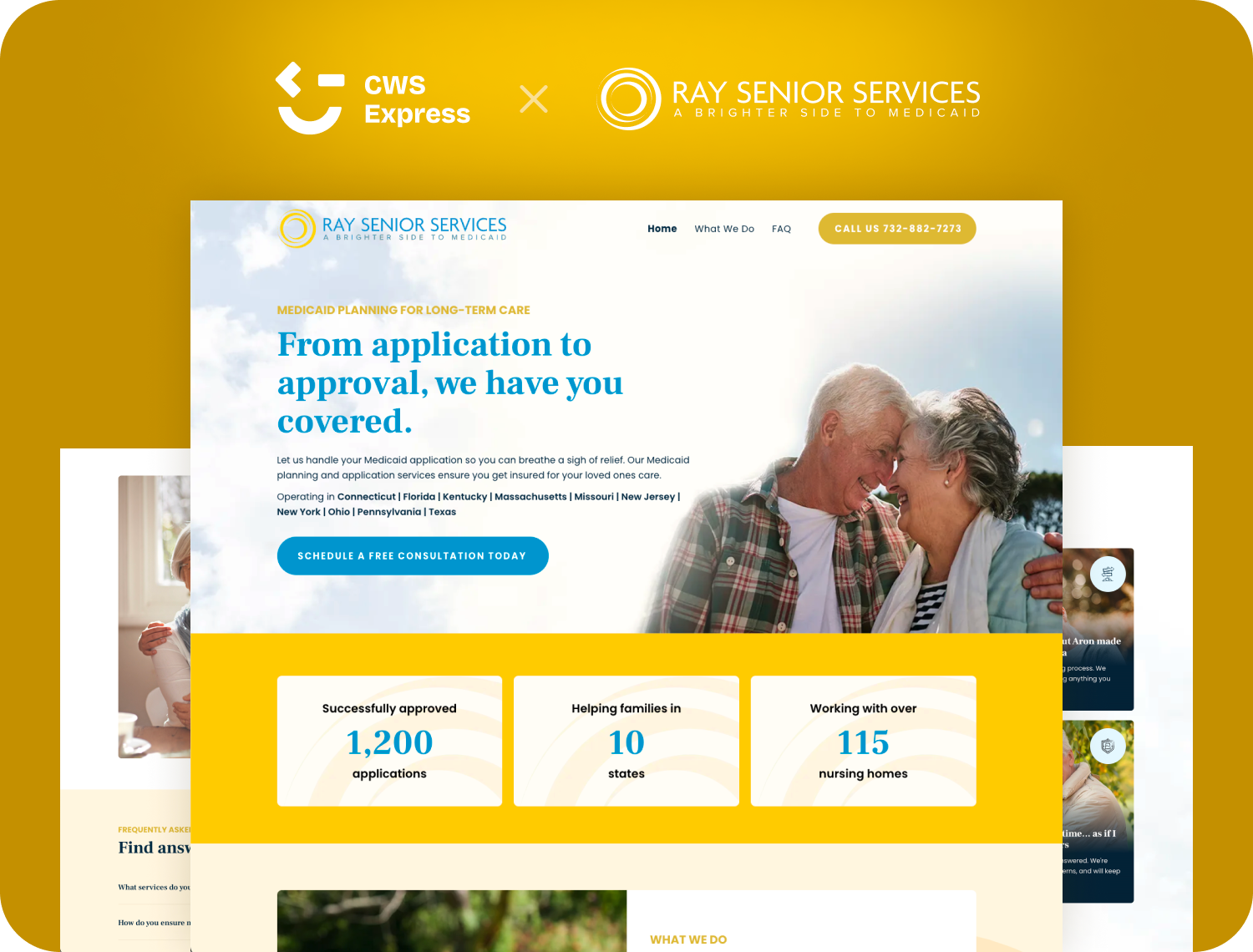Ray Senior Services website preview