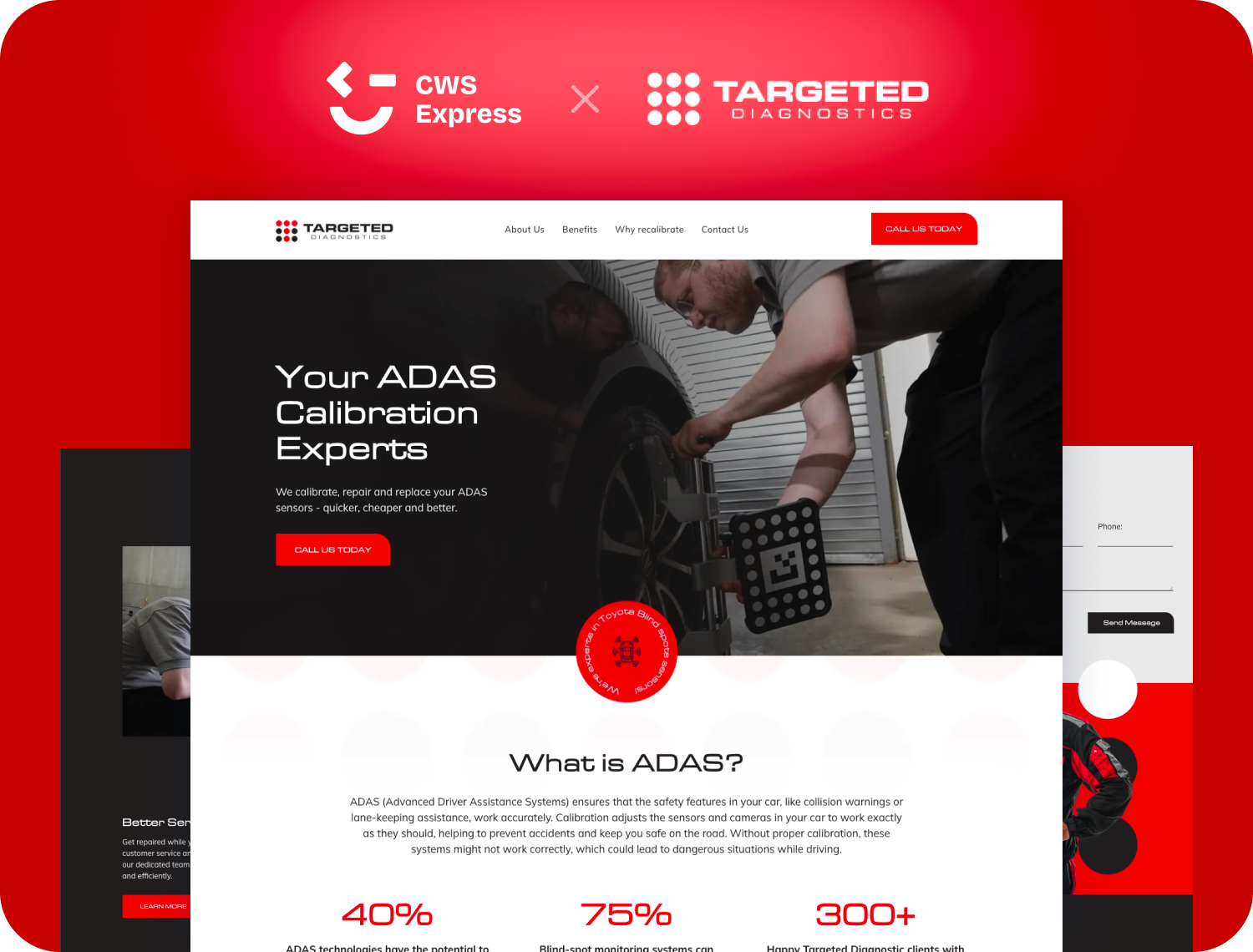 Targeted Diagnostics website preview